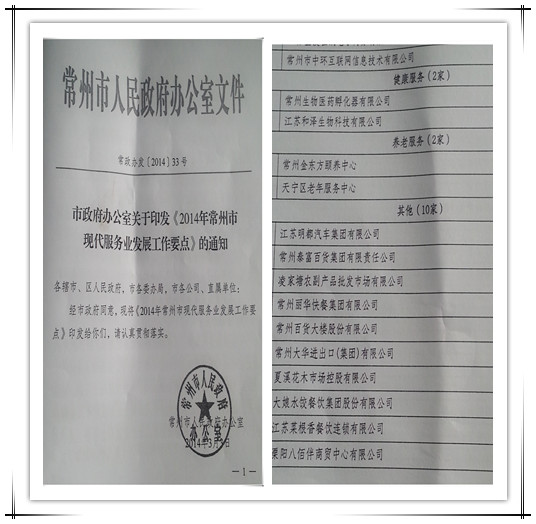 常州市政府再次確立中環(huán)互聯(lián)網(wǎng)為2014年現(xiàn)代服務(wù)業(yè)重點(diǎn)培育企業(yè)，中環(huán)互聯(lián)網(wǎng)作為常州電子商務(wù)領(lǐng)軍企業(yè)，15年專注在為企業(yè)提供互聯(lián)網(wǎng)營(yíng)銷(xiāo)解決方案。